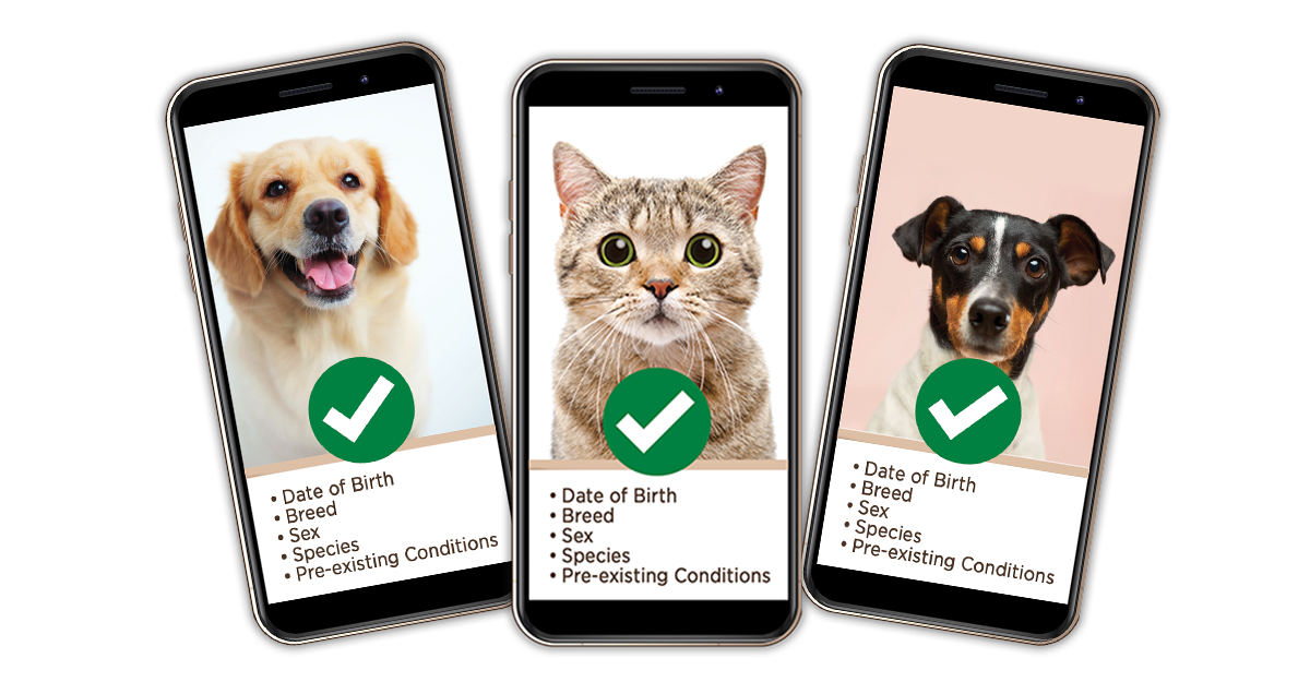 CRIF launches new realtime pet insurance service in the UK, helping