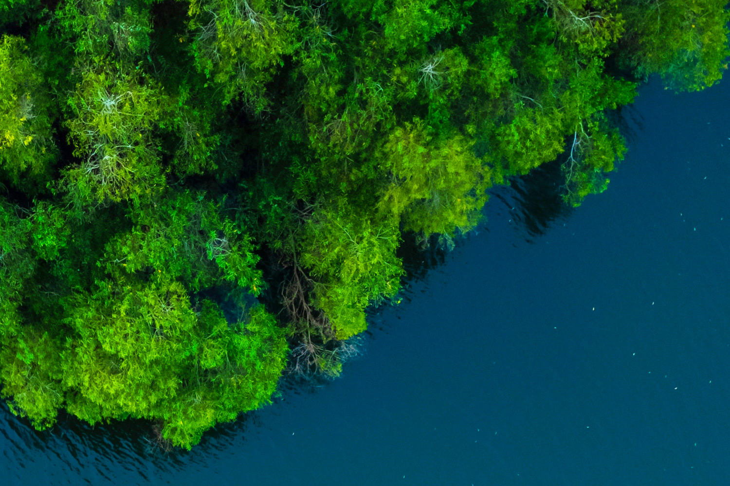 ESG Sustainability Data CRIF 2