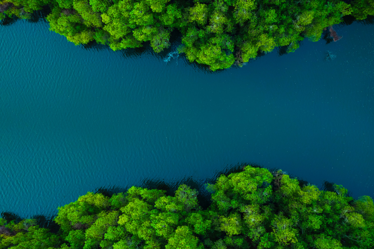 ESG Sustainability Data CRIF 1