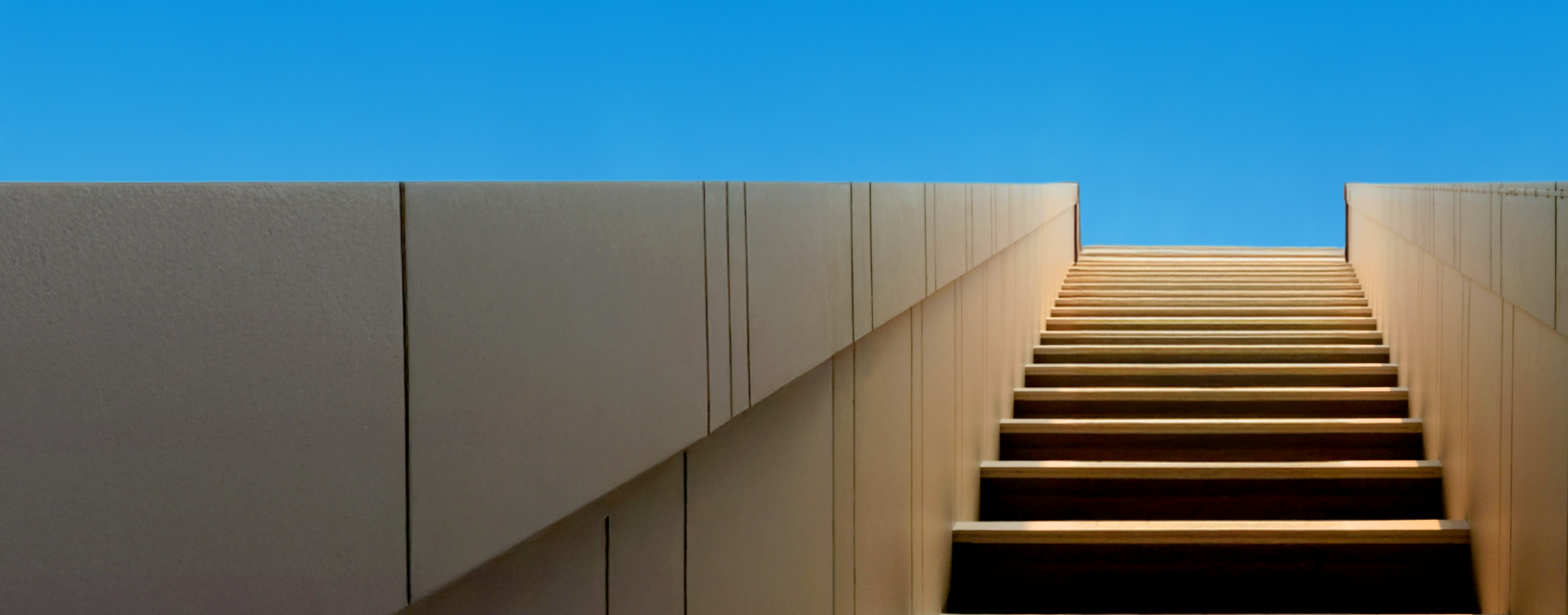 What's Next Website Banner CRIF (14)