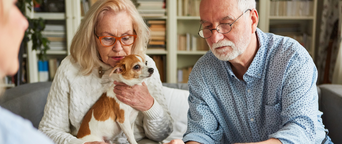 CRIF UK Pet Insurance Costs Highest In Europe (1)